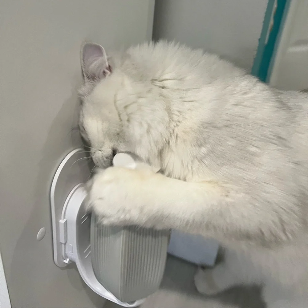 CAT MASSAGER BRUSH(new in box)